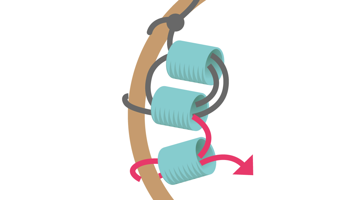 Miyuki necklace with round Brick Stitch pendant : Step 3 Miyuki necklace with round Brick Stitch pendant : Step 3