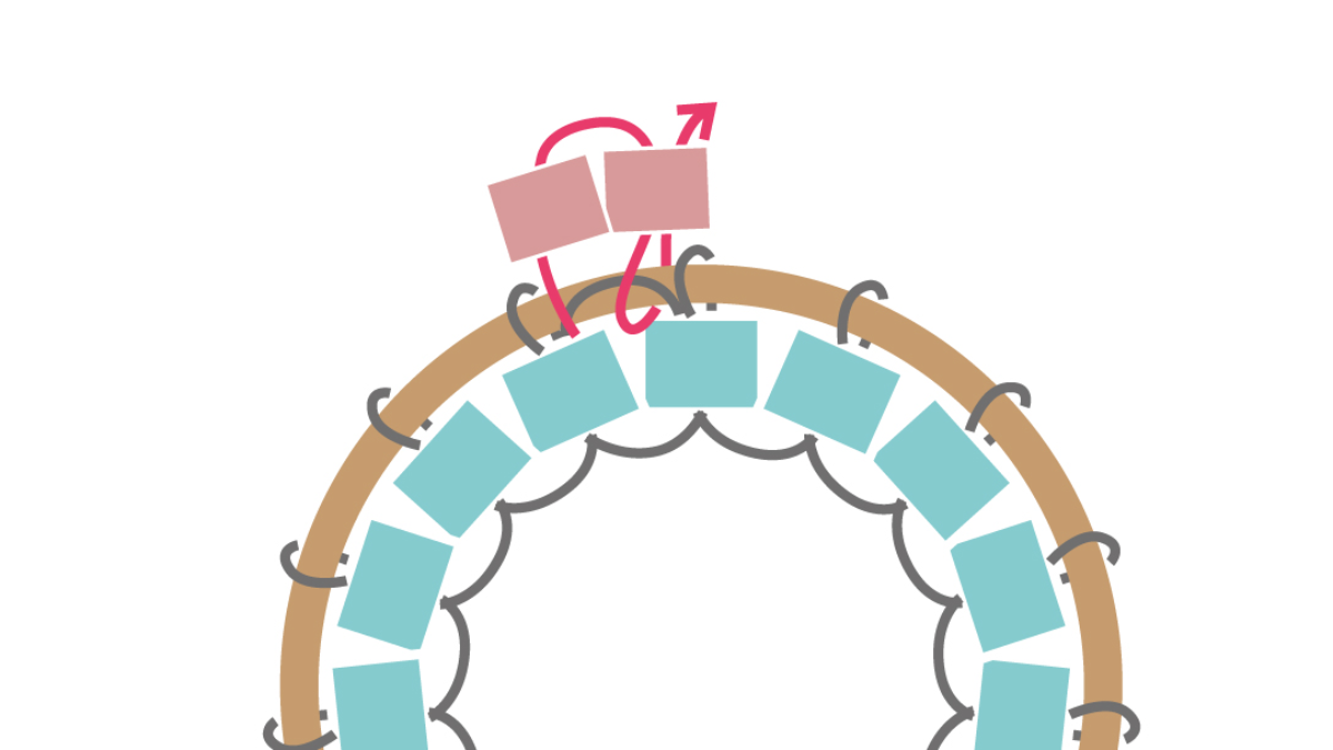 Miyuki necklace with round Brick Stitch pendant : Step 6 Miyuki necklace with round Brick Stitch pendant : Step 6