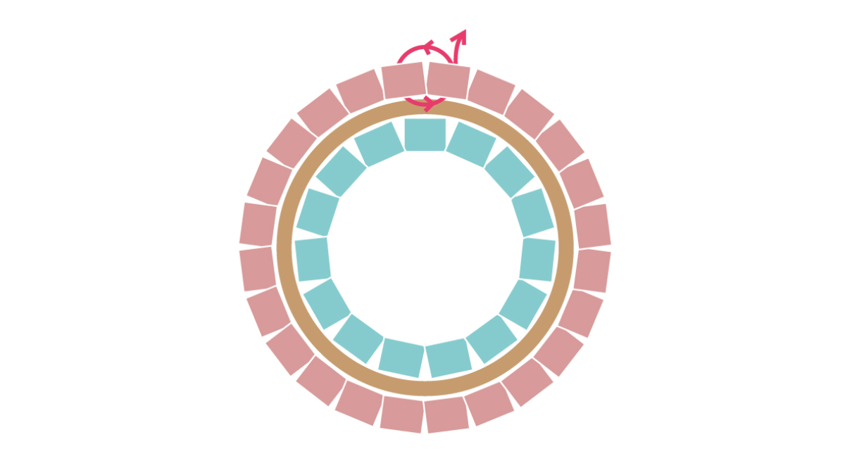 Miyuki necklace with round Brick Stitch pendant : Step 7 Miyuki necklace with round Brick Stitch pendant : Step 7