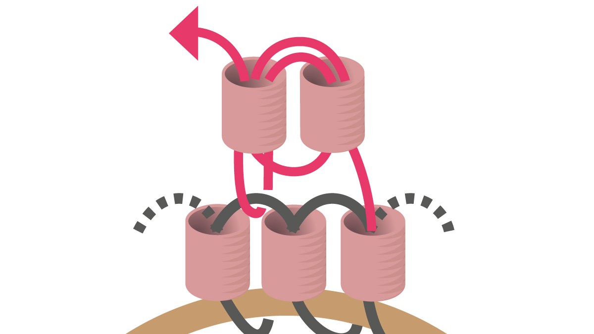 Miyuki necklace with round Brick Stitch pendant : Step 8 Miyuki necklace with round Brick Stitch pendant : Step 8