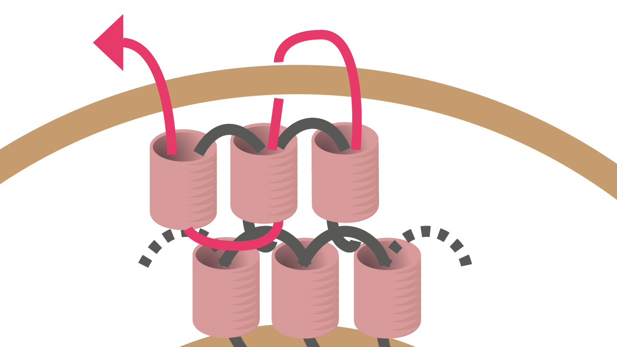 Miyuki necklace with round Brick Stitch pendant : Step 9 Miyuki necklace with round Brick Stitch pendant : Step 9