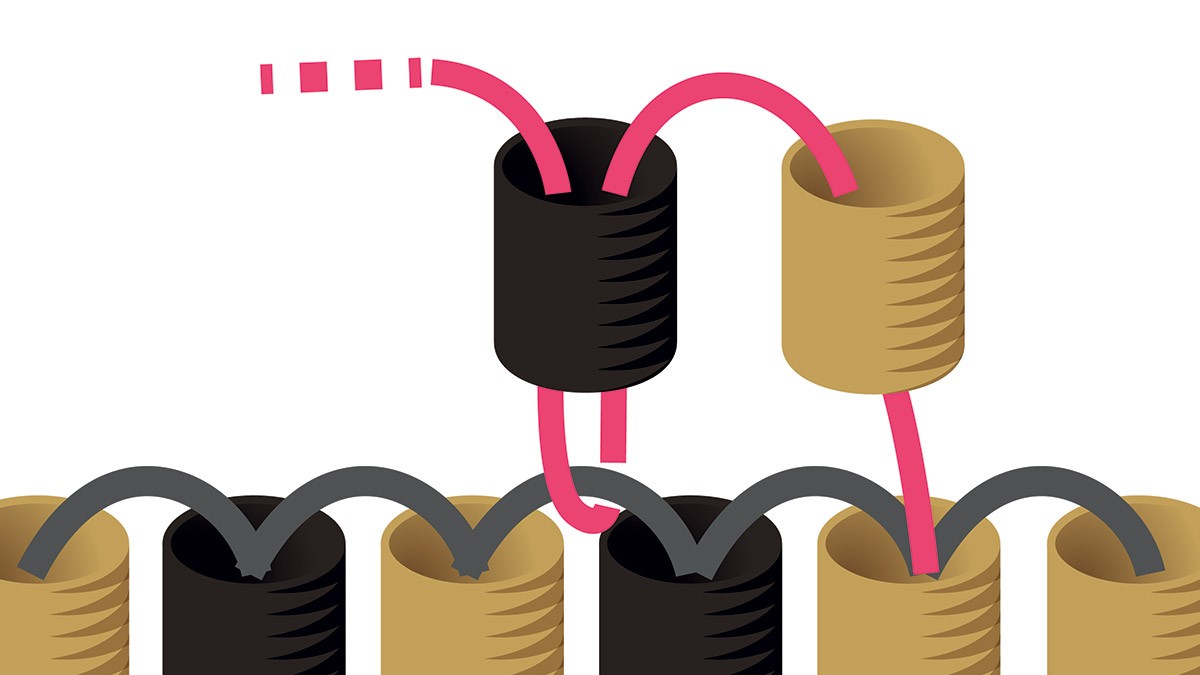 Weaving grid Miyuki necklace in black and gold Brick Stitch : Step 5