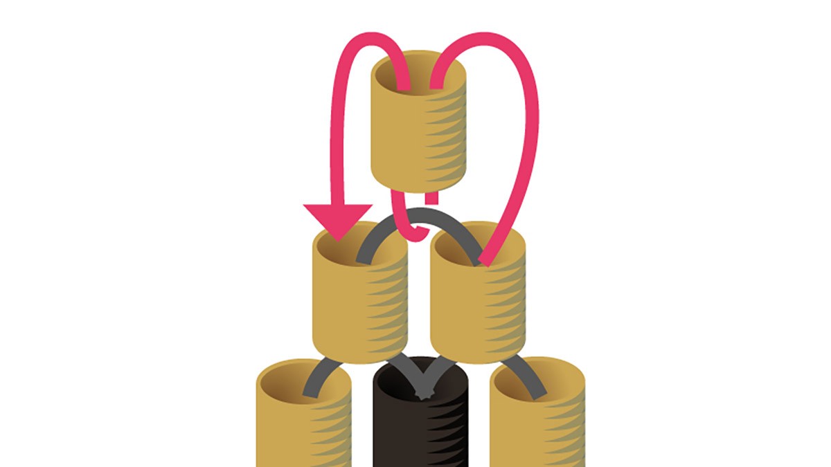 Weaving grid Miyuki necklace in black and gold Brick Stitch : Step 7