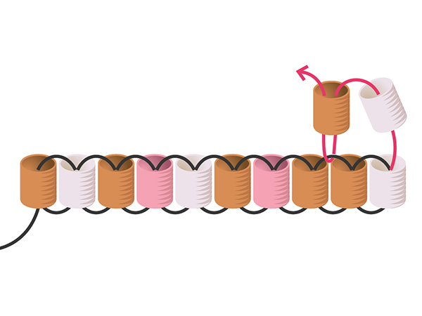 Double brick stitch earrings with seed beads : Step 4 Double brick stitch earrings with seed beads : Step 4