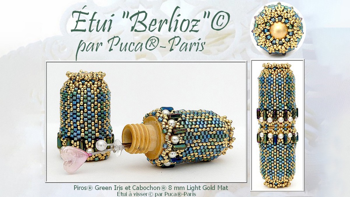 Berlioz case with wooden stand by Puca®.