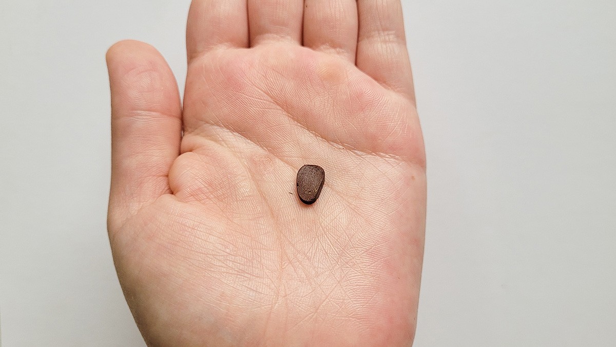 Polymer clay golden flower earrings : Step 7