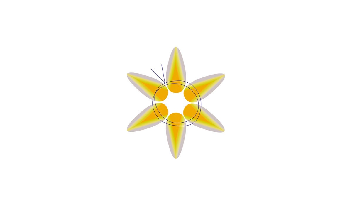 Women's bracelet with glass beads Preciosa Chilli : Step 4