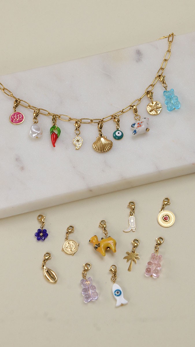 Schema  Interchangeable charms necklace