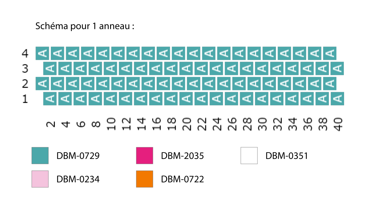 Schema  Miyuki Delica 10/0 beads bracelet with colored links