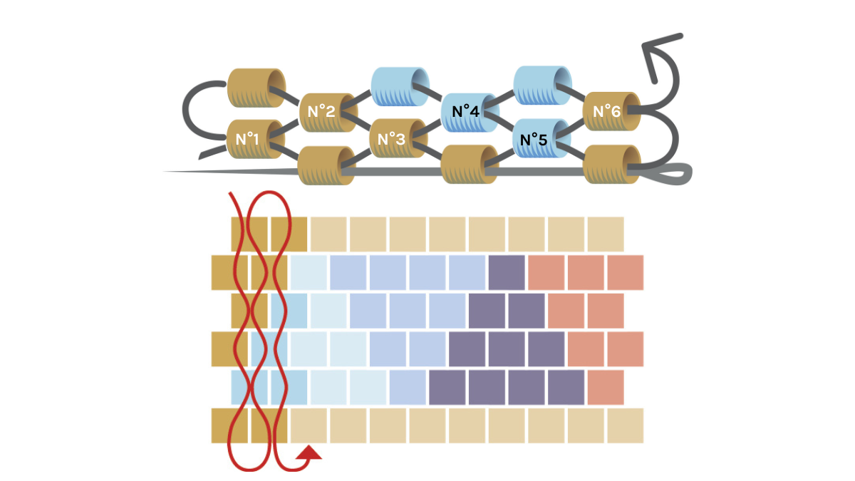 Triangle bracelet with Miyuki 11/0 beads in peyote pair : Step 5