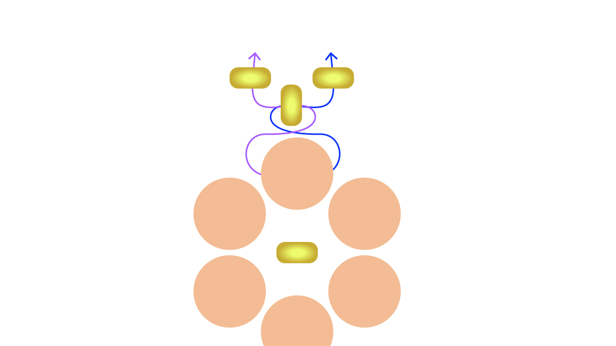 Preciosa gemstone and spinning top flower bracelet : Step 6