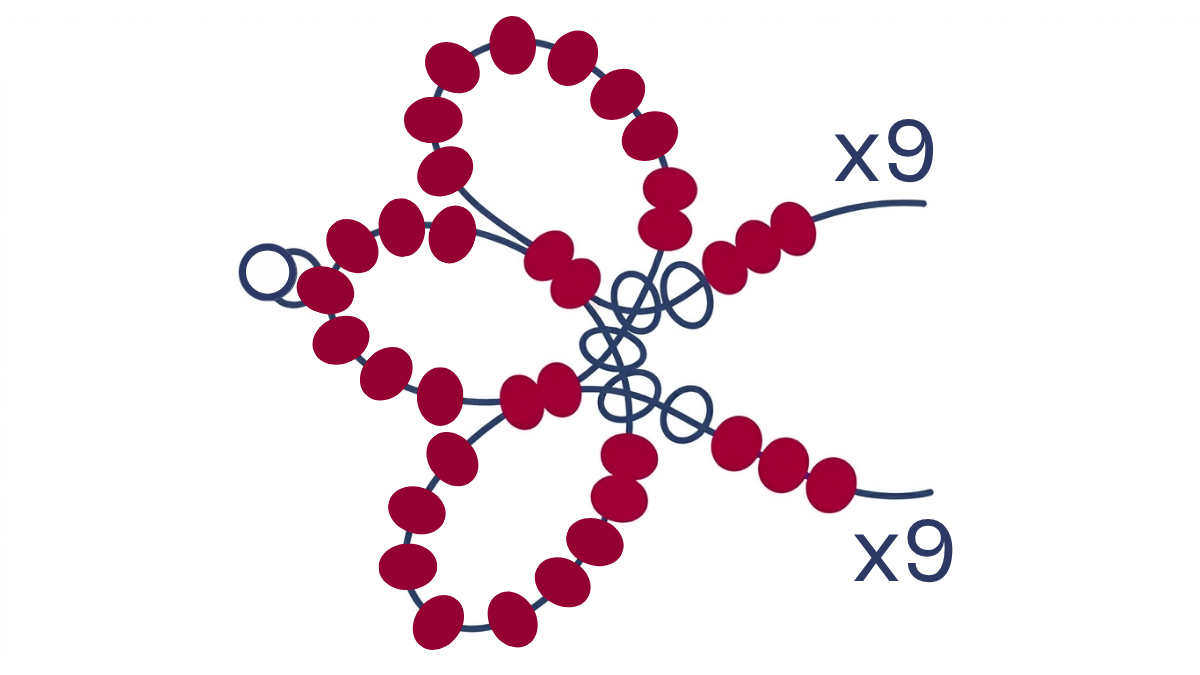 Miyuki 6/0 seed bead flower weave necklace : Step 6