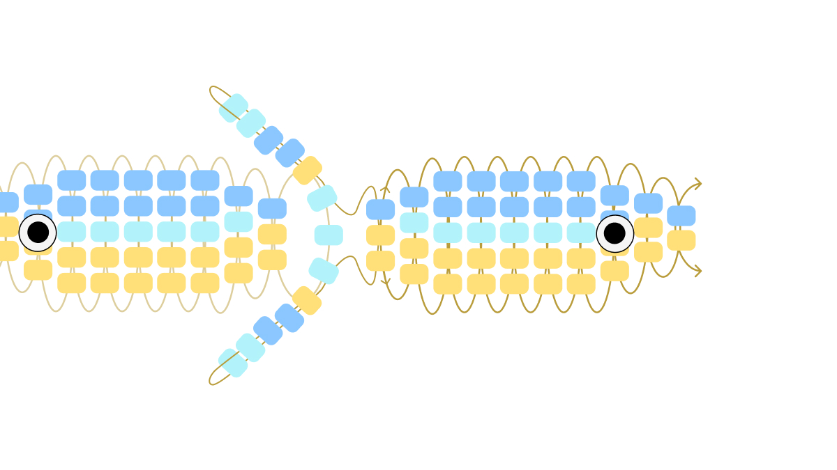 Seed beads fish keyring : Step 5