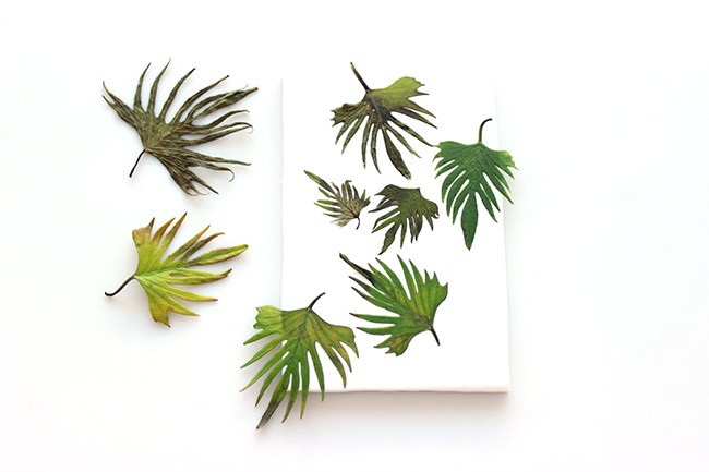 Brusho bookmark on Fimo : Step 1