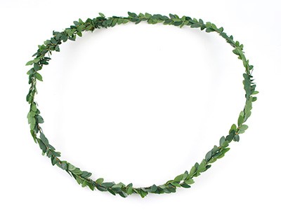 Flower Crown Paper Crépon synthetic Ivy : Step 1 Flower Crown Paper Crépon synthetic Ivy : Step 1