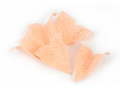 Flower Crown Paper Crépon synthetic Ivy : Step 4 Flower Crown Paper Crépon synthetic Ivy : Step 4